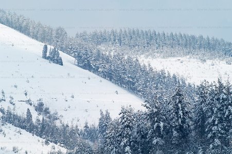 02744-Montes-Legazpia-Nevados-Gipuzkoa-Euskadi