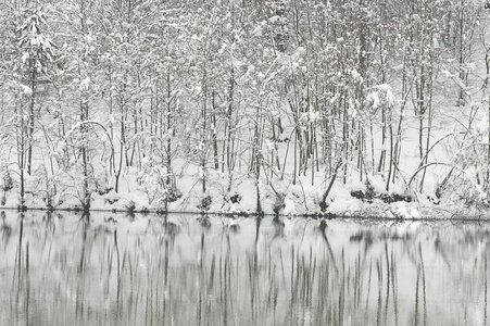 02746-Reflejos-Arboles-Nieve-Embalse-Barrendiola-Brinkola-Gipuzk