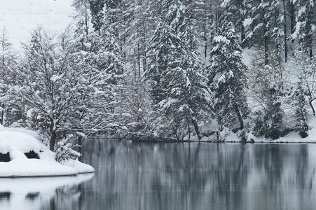 02747-Invierno-Embalse-Barrendiola-Brinkola-Gipuzkoa-Euskadi
