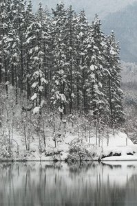 02748-Paisaje-Invierno-Barrendiola-Brinkola-Euskadi