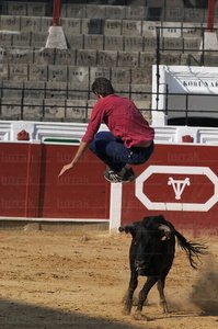 02930-Toros-Zestoa-Gipuzkoa-Euskadi