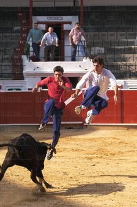 02931-Recortadores-Novillada-Zestoa-Gipuzkoa-Euskadi
