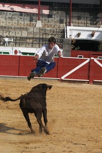 02932-Recostador-Zestoa-Gipuzkoa-Euskadi