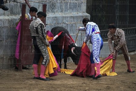 02939-Toreros-Toro-Zestoa-Gipuzkoa-Euskadi