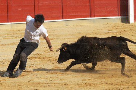 02940-Recortador-Zestoa-Gipuzkoa-Eusakdi