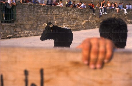 03108-Vaquillas-Beire-Navarra