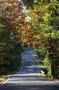 04053-Carretera-Local-Arboles-Otoño-Baraibar-Navarra