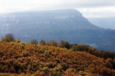 04061-Pasaje-Hayedo-Otoño-Mote-san-Donato-Sierra-Aralar-Navarra