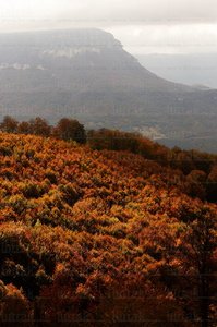 04062-Paisaje-Otoño-Sierra-Aralar-Navarra