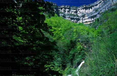 04216-Nacedero-Urederra-Primavera-Navarra-