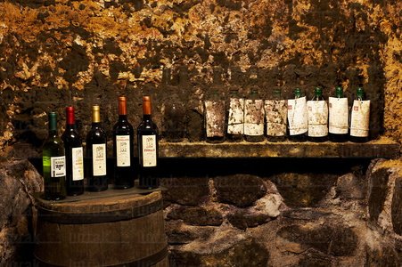 04269-Vinos-Envejeciendo-Bodega-El-Fabulista-Álava-Euskadi