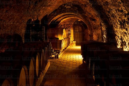 04270-Bodega-El-Fabulista-Álava-Euskadi