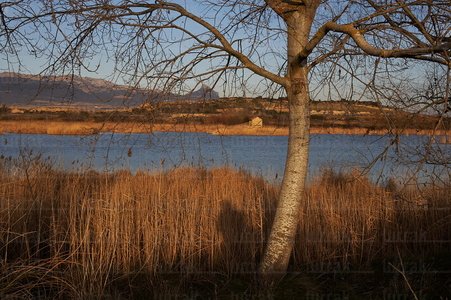 04314-Laguna-El-Prao-de-Paul-Laguardia-Álava-Euskadi