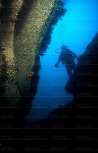 04570-Buceador-Mar-Cantábrico