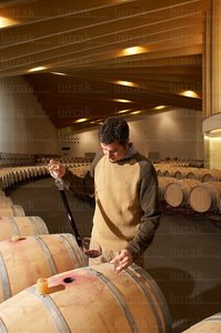 04999-Enólogo-Bodegas-Ysios-Laguardia-Álava-Euskadi