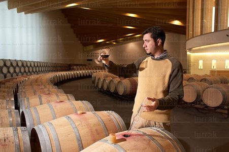 05002-Enólogo. Bodega Ysios, Laguardia, Alava, Euskadi