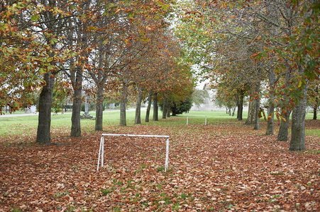 05072-Campo de futbol en el Bosque. Junguitu, Alava, Euskadi