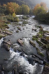 05116-Río Oria. Irura, Gipuzkoa, Euskadi