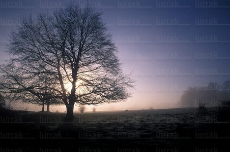 05138-Sierra de Urbasa, Navarra