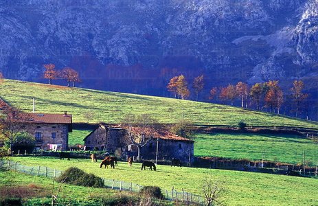 05183-Parque Natural de Urkiola, Bizkaia, Euskadi