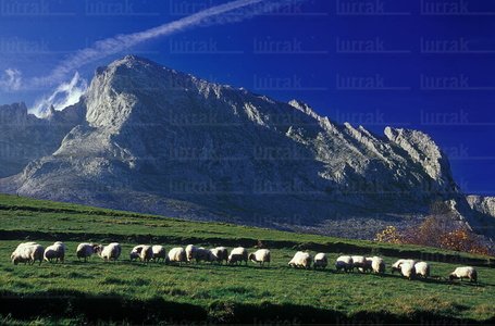 05185-Parque Natural de Urkiola, Bizkaia, Euskadi
