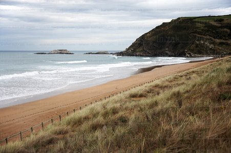 05309-Biotopo de Iñurritza. Zarautz, Gipuzkoa, Euskadi