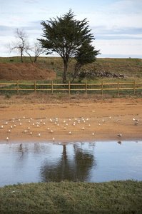 05314-Biotopo de Iñurritza. Zarautz, Gipuzkoa, Euskadi