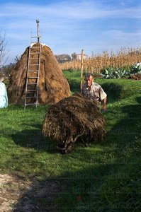 05353-Metas. Caserío Larre. Billabona, Gipuzkoa, Euskadi