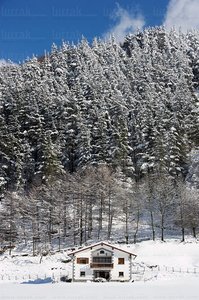 05584-Nieve en Bidegoian Gipuzkoa, Euskadi