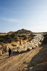05814-Parque Natural de las Bárdenas. Navarra