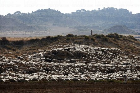 05818-Parque Natural de las Bárdenas. Navarra