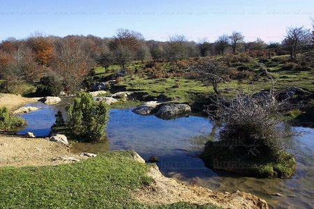 05934-Sierra de Entzia. Alava, Euskadi