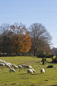 05936-Sierra de Entzia. Alava, Euskadi