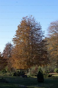 05939-Sierra de Entzia. Alava, Euskadi