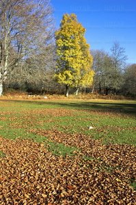 05942-Sierra de Entzia. Alava, Euskadi