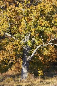 05951-Sierra de Entzia. Alava, Euskadi