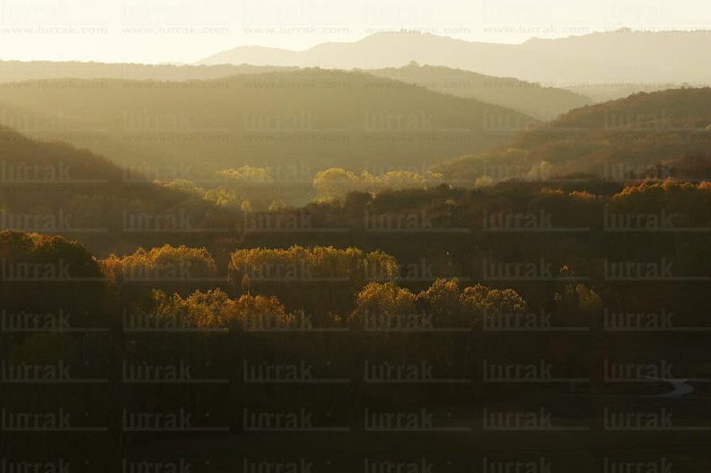 05960.jpg