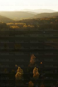05961-Parque Natural de Izki. Alava, Euskadi