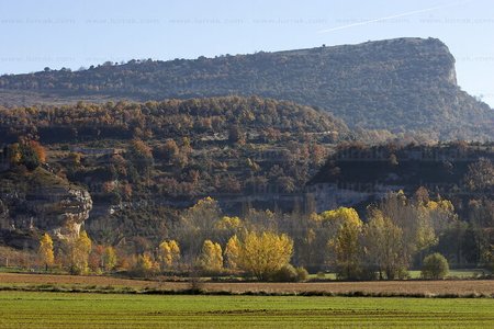 05980-Parque Natural de Izki. Alava, Euskadi