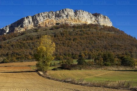 05989-La Peña de la Muela. Parque Natural de Izki. Álava, Eusk