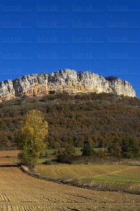 05990-Peña de la Muela. Parque Natural de Izki. San Román de K