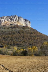 05994-La Muela. Parque Natural de Izki. Alava, Euskadi