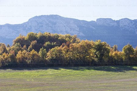 06012 -Otoño en la Sierra de Cantabria. Bernedo, Alava, Euskadi