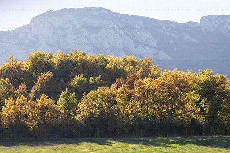 06013 -Otoño en la Sierra de Cantabria. Bernedo, Alava, Euskadi