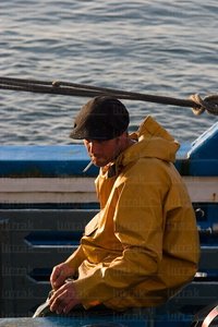 06186-Descarga de Bonito en el puerto. Hondarribia, Gipuzkoa, Eu