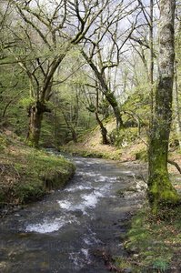 06329-Regata del Infierno. Arraioz, Navarra