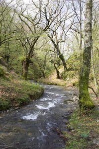 06330-Regata del Infierno. VAlle del Baztán. Arraioz, Navarra
