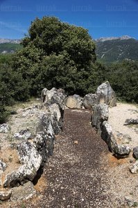 06467-Dolmen de los Llanos, Cripan, Alava, Euskadi