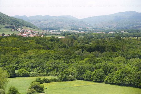 06646-Aspecto del Robledal de Orgi. Valle de Ulzama. Lizaso, Nav