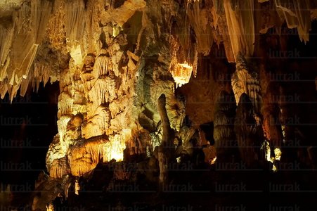 06713-Cueva de Pozalagua. Karrantza, Alava, Euskadi